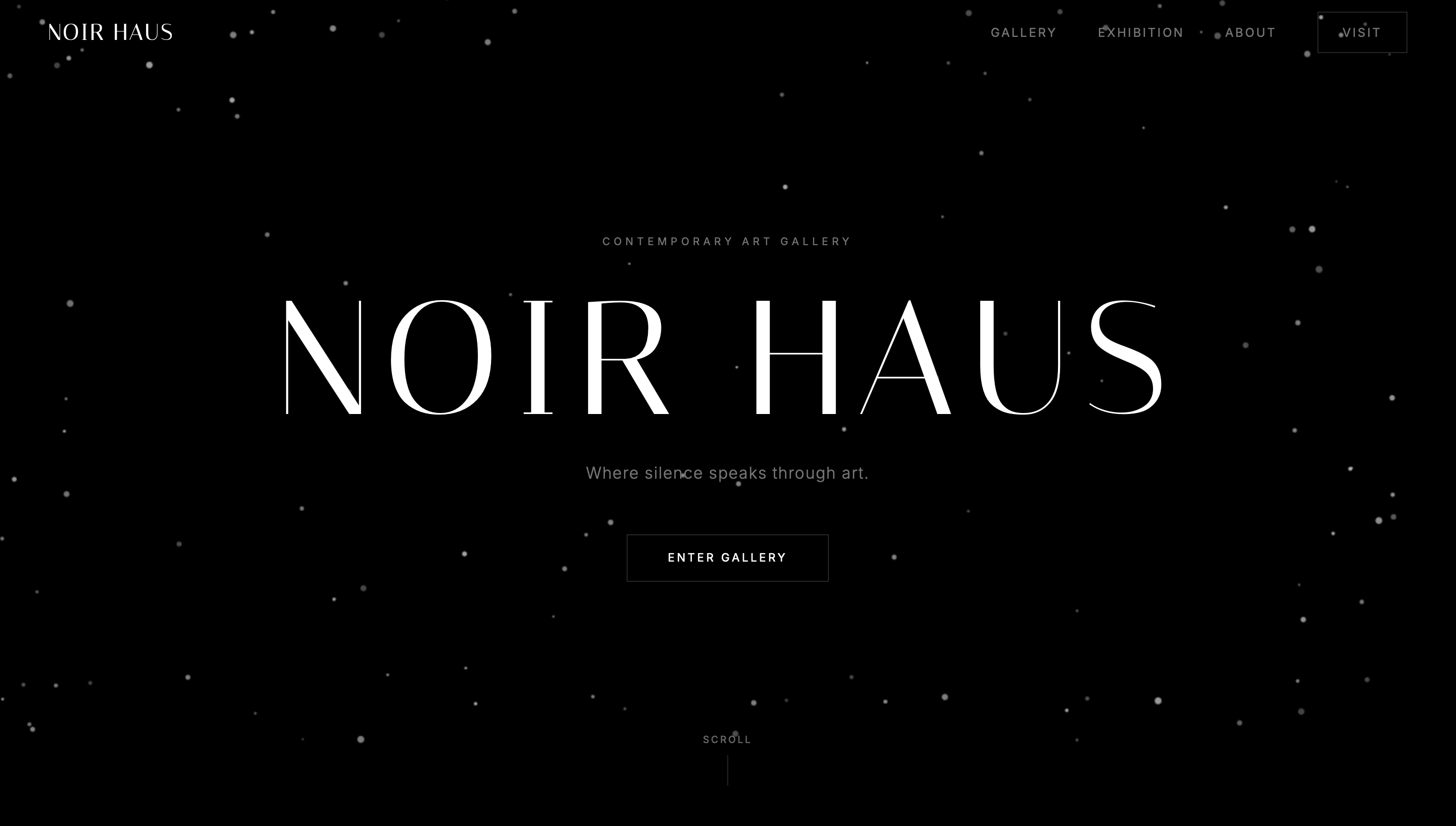 NOIR HAUS , Contemporary Art Gallery